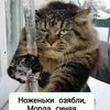 user4917591962066