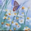 md.akramul.haque978