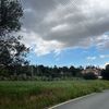 neff_77701
