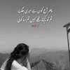 naveedseo3