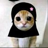 fatin4704
