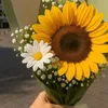 alejandrabarrient788