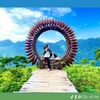 hoa.hoang882