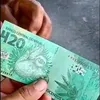 rodrigosilva4667