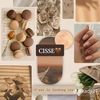 anissacse