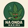 Na onda máxima 🤯🌳