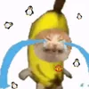 hongnhtthin07