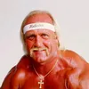 hulk.hodn