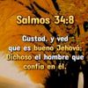 la_sombra.93