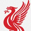 saduliverpool