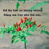 nguyen.thuy.linh39