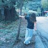 laylashadzi4