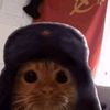 osito_tedy_cod
