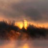 clouded.sylis