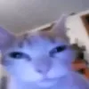 kxmdollyxqz_