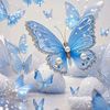 rashadh173