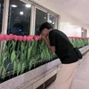 gojooooo_02