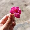 khotim_hilya