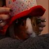 girl_abriil01
