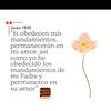olga.quito8