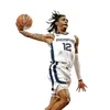 basketbollnesh