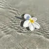 hua.hua00