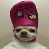 igdian_yanii