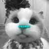 youtube_amp
