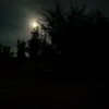 drakotana