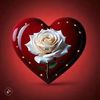 user741940840