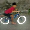 diiplongor