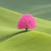 oo9_i9oo