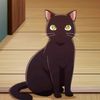 ponu_2047