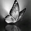 user7829119618884