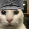 veeles54