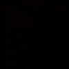 noor_313non