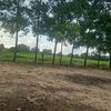aung.win.kyaw5