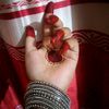 red.rose6070