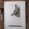 benj.art21