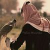 faisal.mu_12