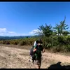alessandrum1
