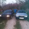 bogdn.lszl1