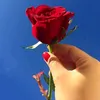 boushra0891