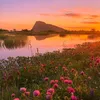 pink_linda_muslim123.09
