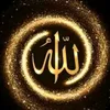 saadiaelhabib