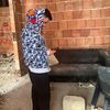 henri_0100