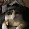 wonnirey