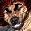 jackkincaid