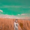 linhdannguyen254