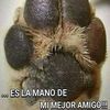 ramsesarjona8
